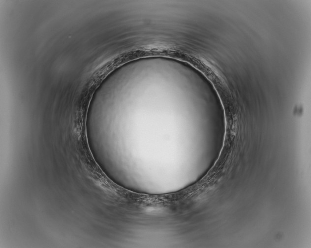 X0000090501015200707201542