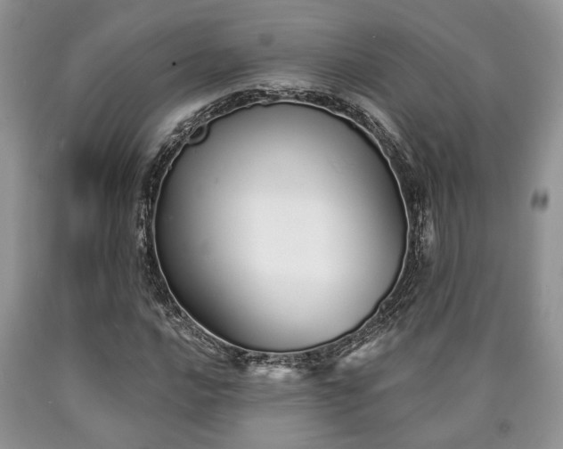 X0000090501016200707201542