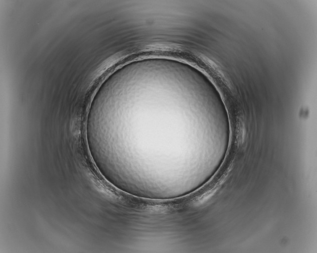 X0000090501017200707201542