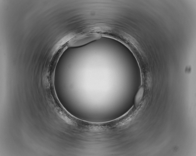 X0000090501018200707201542