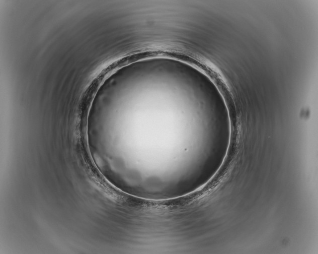 X0000090501019200707201542