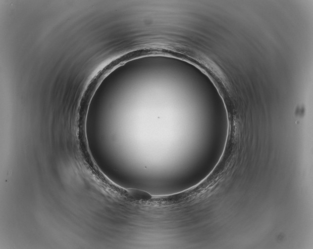 X0000090501020200707201542