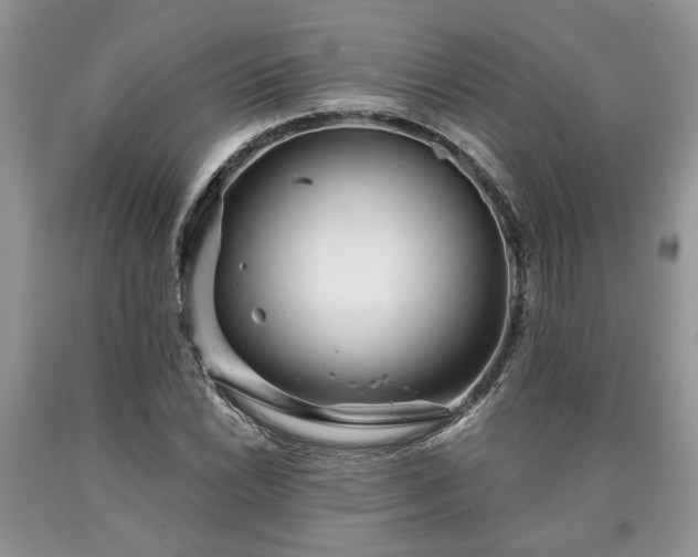 X0000090501022200707201542