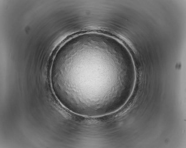 X0000090501023200707201542