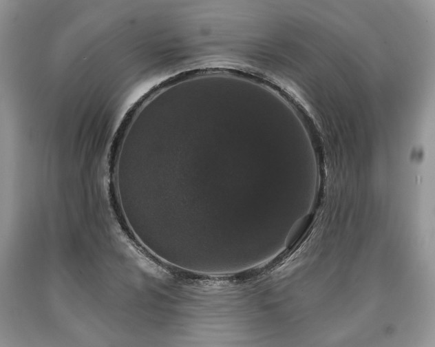X0000090501024200707201542