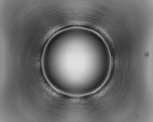 X0000090501025200707201542