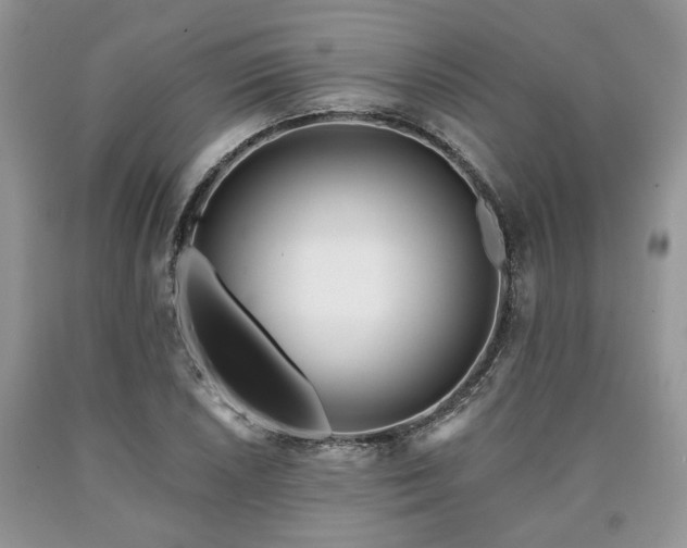 X0000090501026200707201542