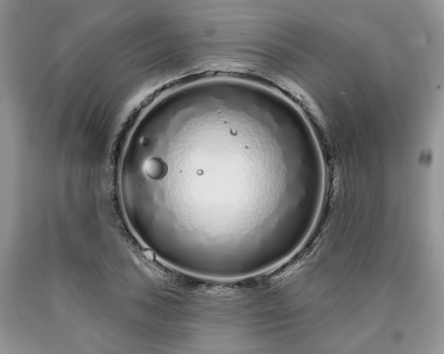 X0000090501027200707201542