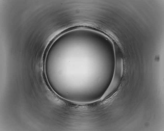 X0000090501028200707201542