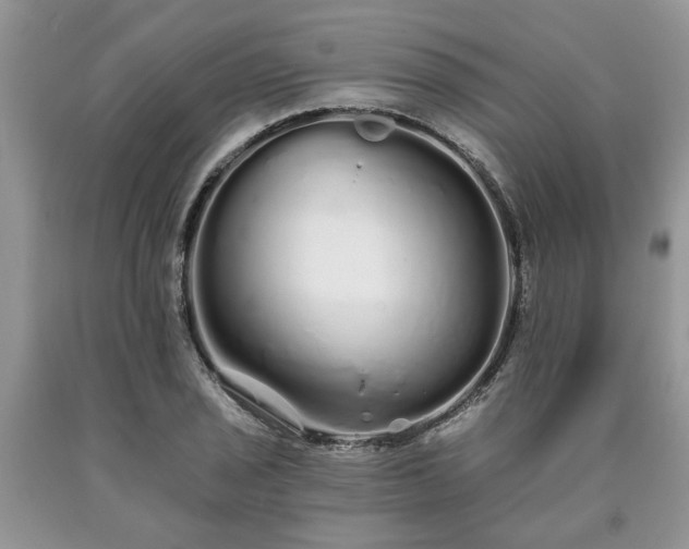 X0000090501029200707201542