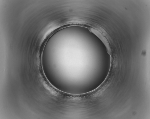 X0000090501030200707201542