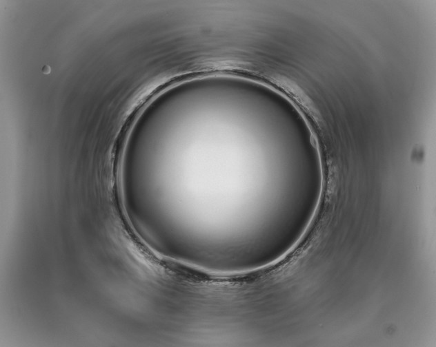 X0000090501031200707201542