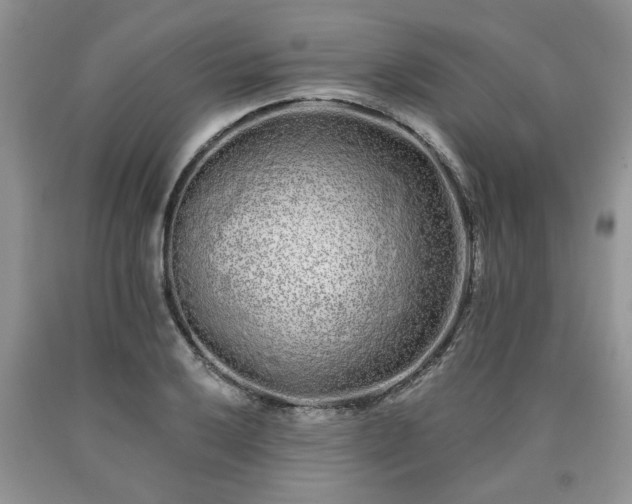 X0000090501032200707201542