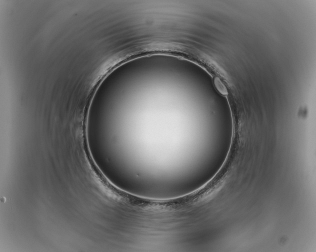 X0000090501033200707201542