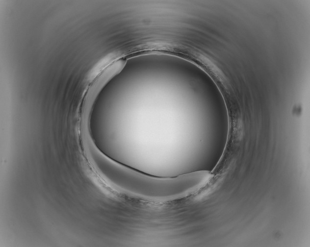 X0000090501034200707201542