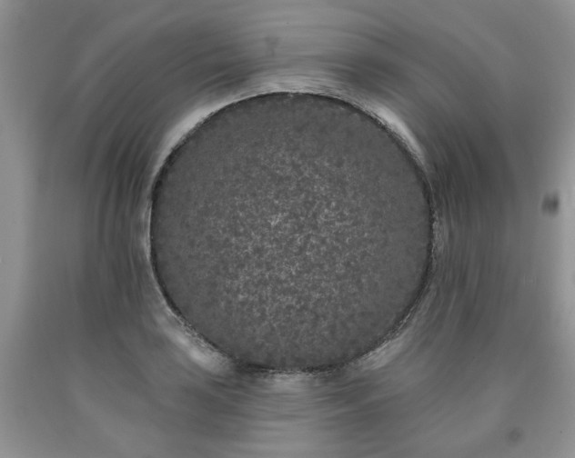 X0000090501035200707201542