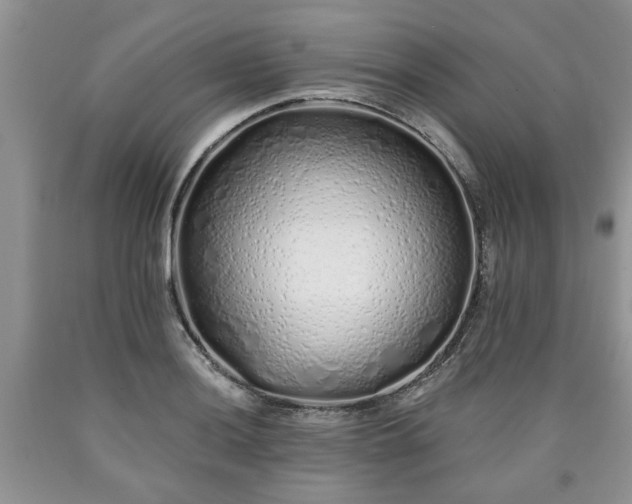 X0000090501036200707201542