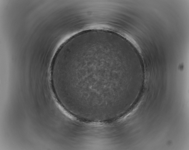 X0000090501037200707201542