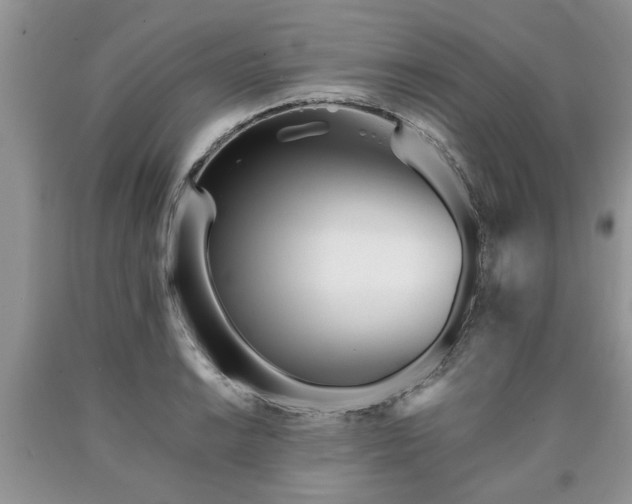 X0000090501038200707201542