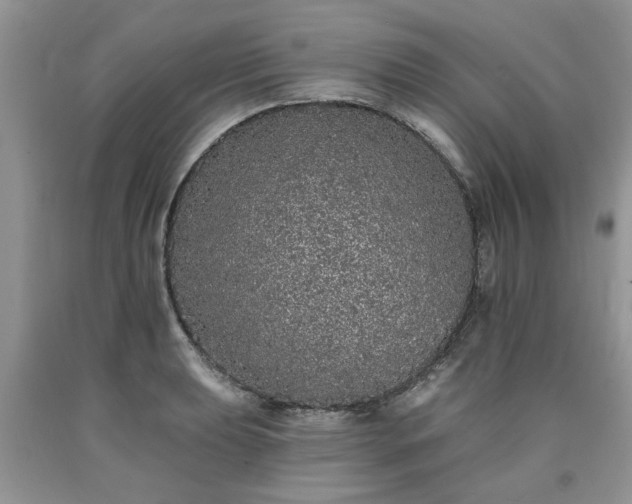 X0000090501039200707201542