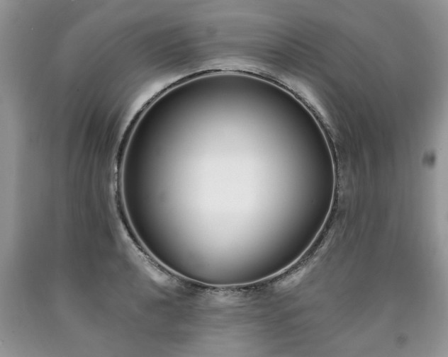 X0000090501040200707201542