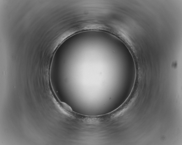 X0000090501041200707201542