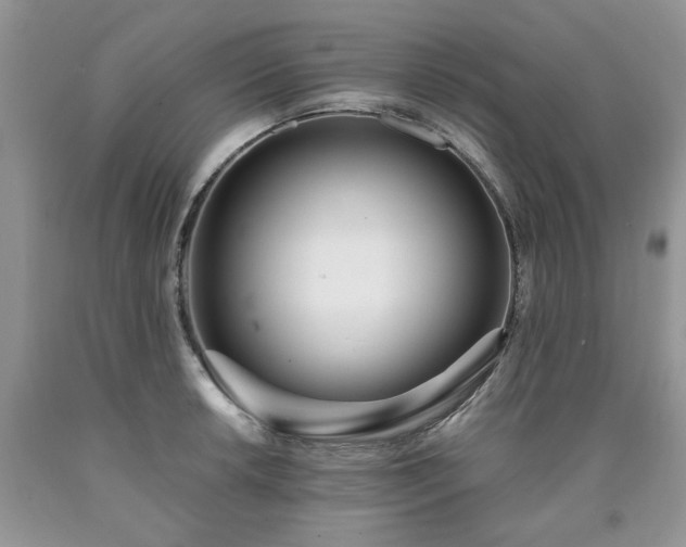 X0000090501042200707201542