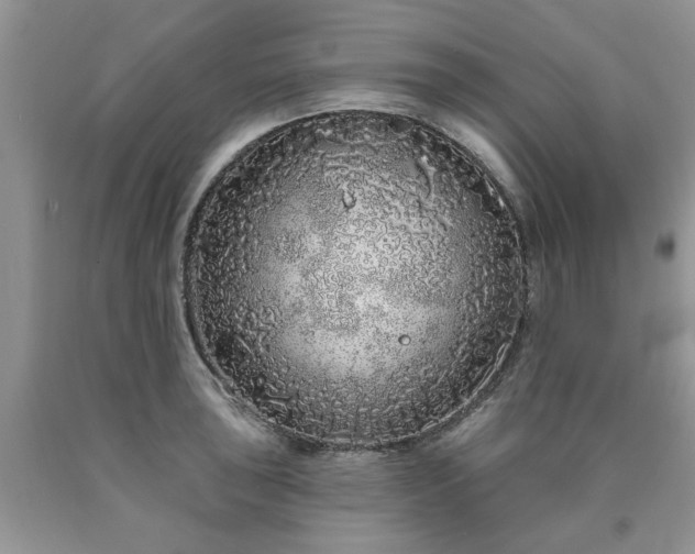 X0000090501043200707201542