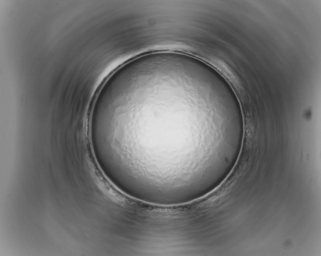 X0000090501044200707201542