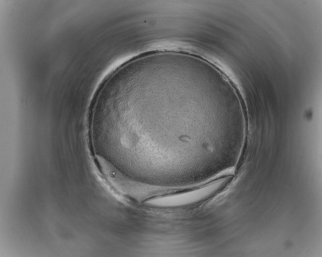 X0000090501045200707201542