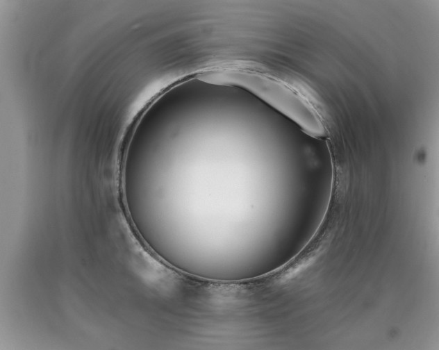 X0000090501046200707201542