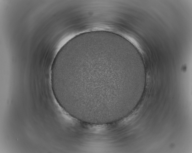 X0000090501047200707201542