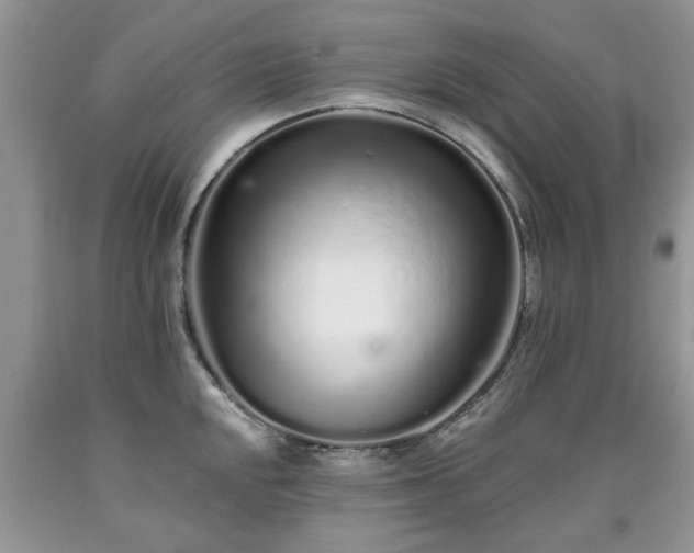 X0000090501048200707201542