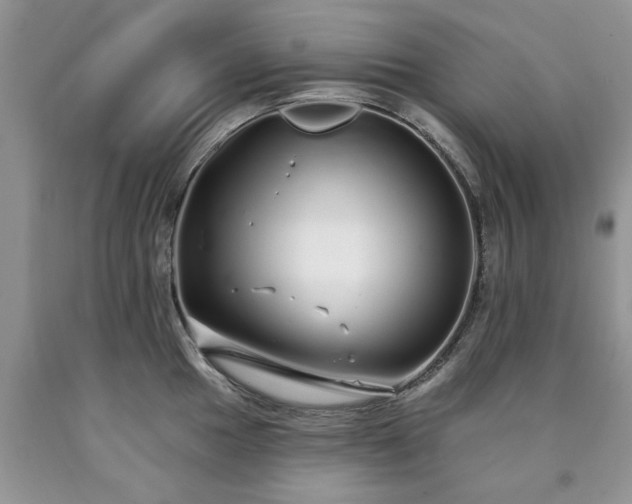 X0000090501049200707201542