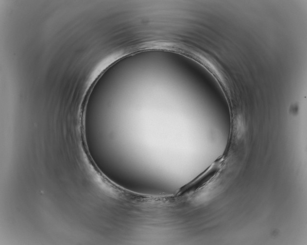 X0000090501050200707201542