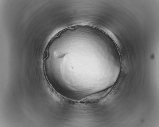 X0000090501051200707201542