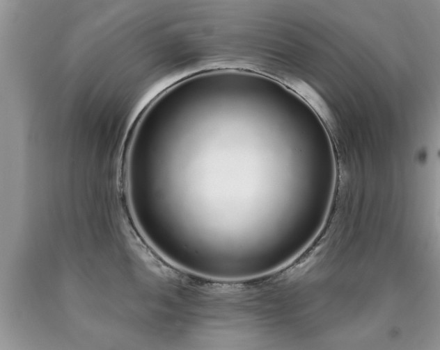 X0000090501052200707201542