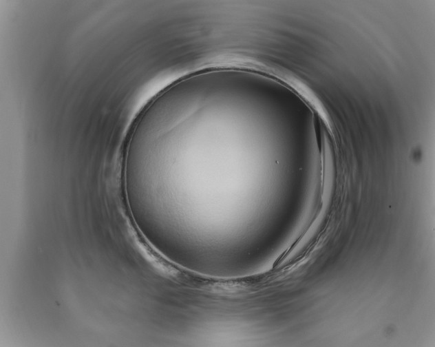 X0000090501053200707201542