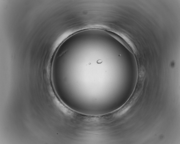X0000090501054200707201543