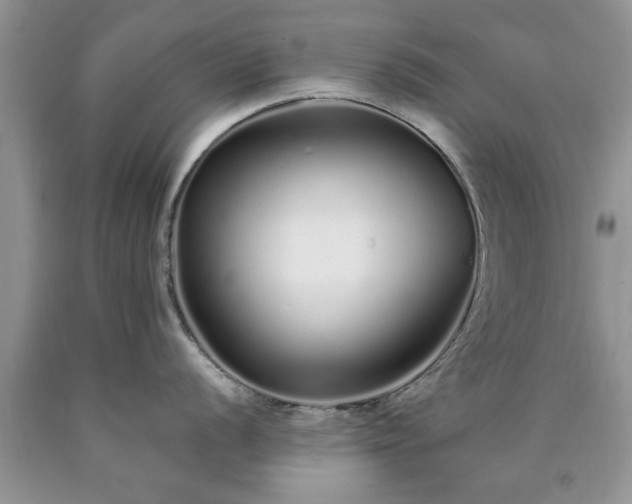 X0000090501056200707201543