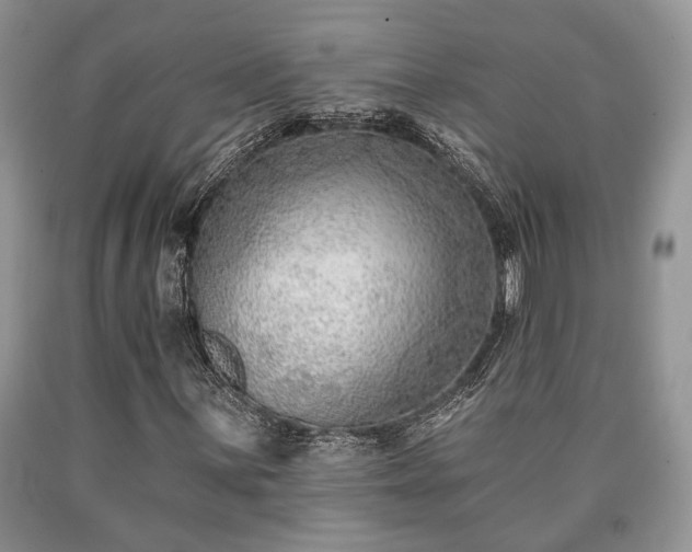 X0000090501059200707201542