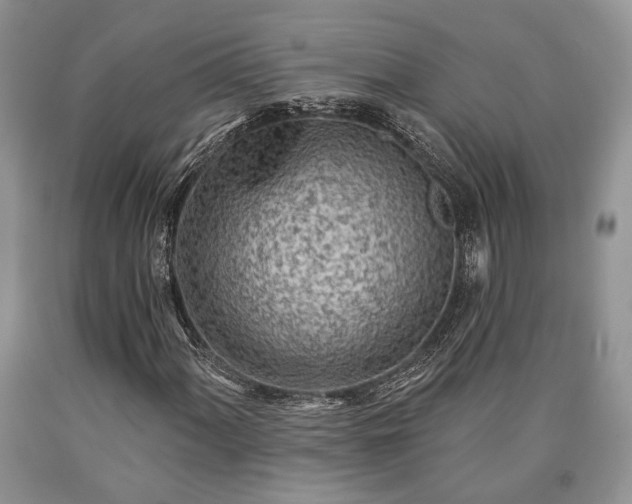 X0000090501060200707201542