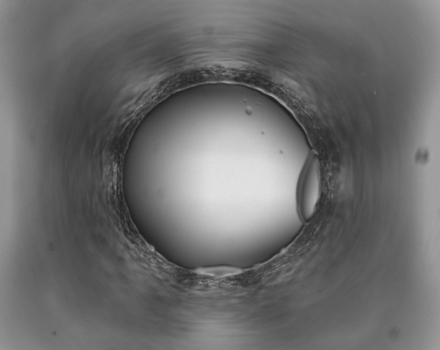 X0000090501061200707201542