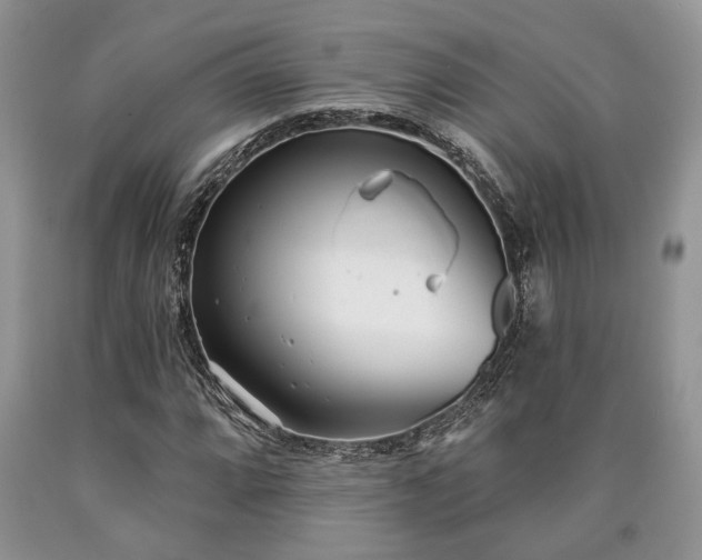 X0000090501064200707201541