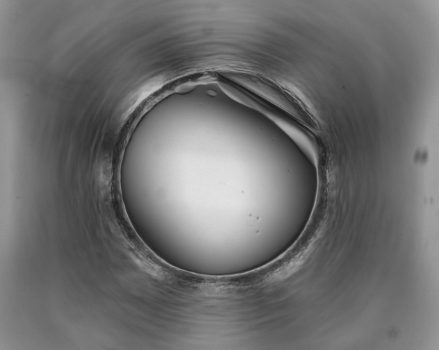 X0000090501065200707201541