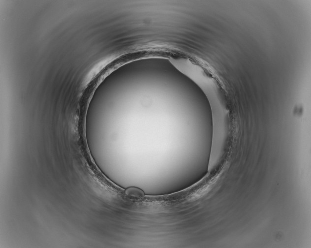 X0000090501066200707201541