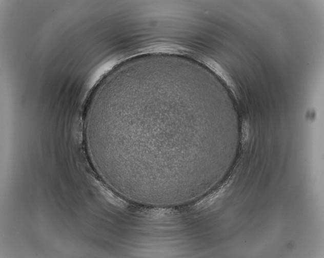 X0000090501067200707201541