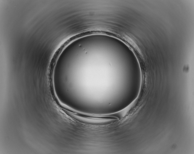 X0000090501068200707201541