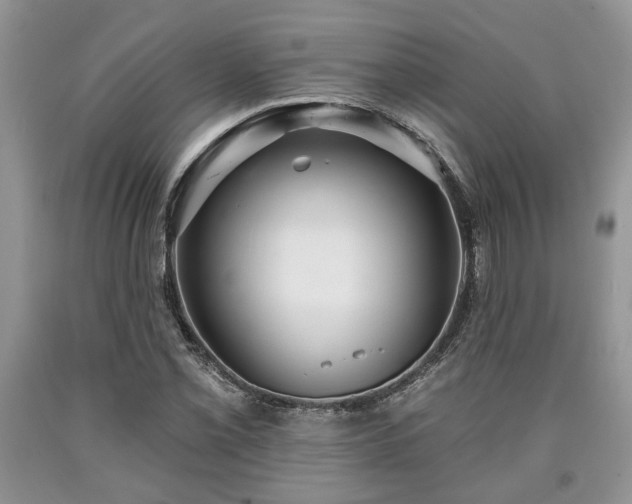 X0000090501069200707201541