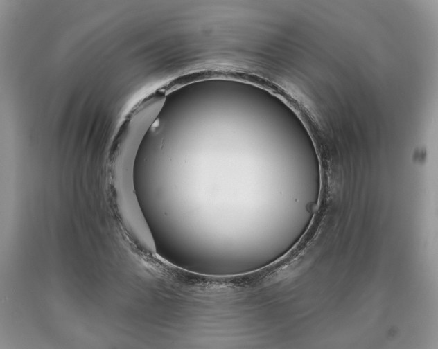X0000090501070200707201541